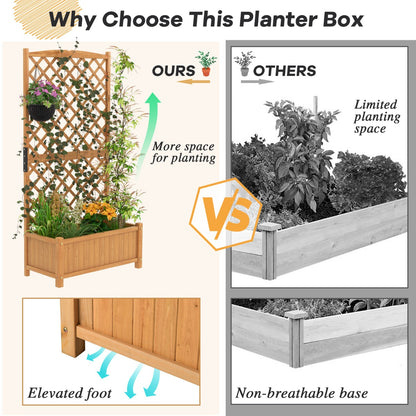 Raised Garden Bed with Trellis for Indoor & Outdoor Use