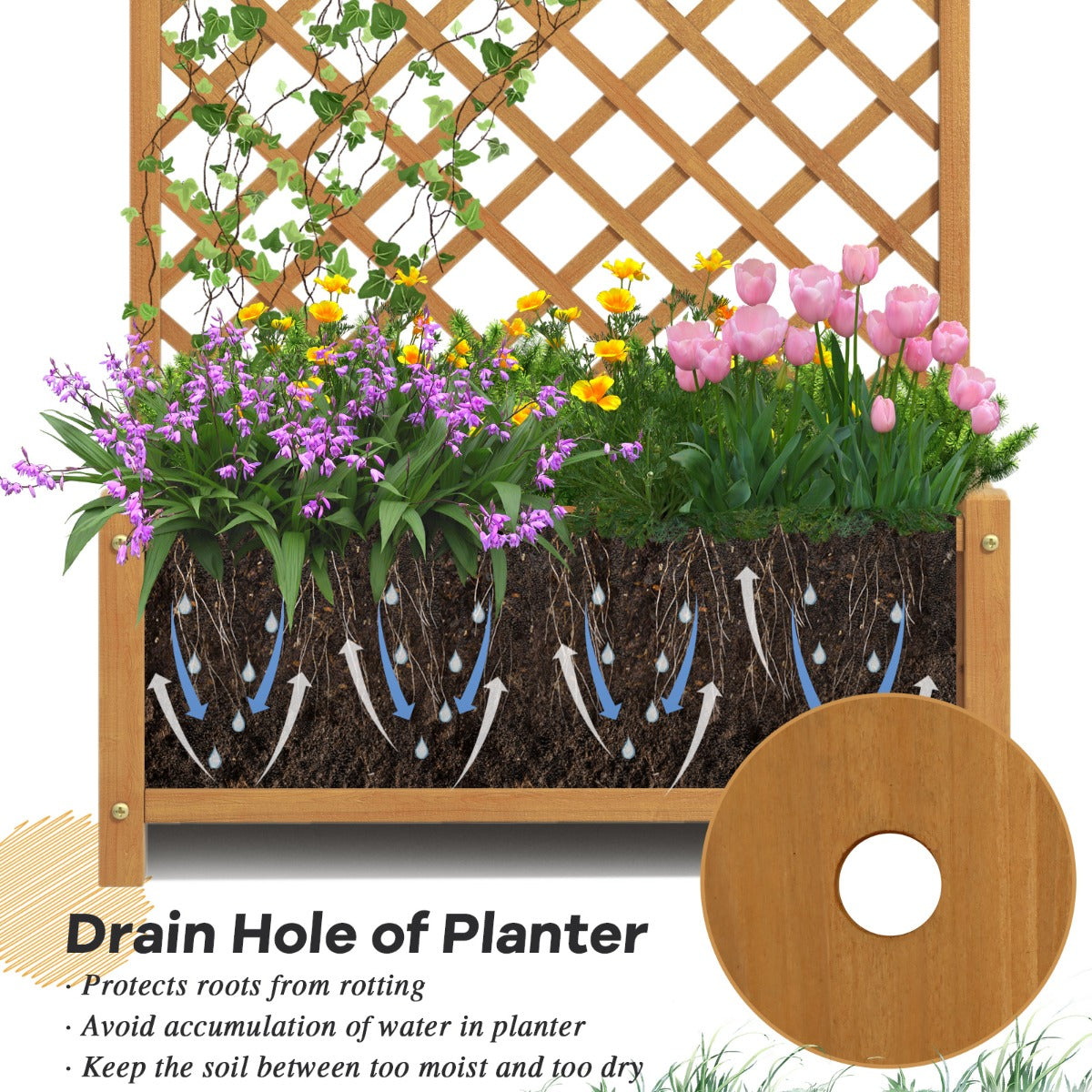 Raised Garden Bed with Trellis for Indoor & Outdoor Use