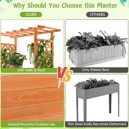 Raised Garden Bed with Top & Side Trellis for Garden