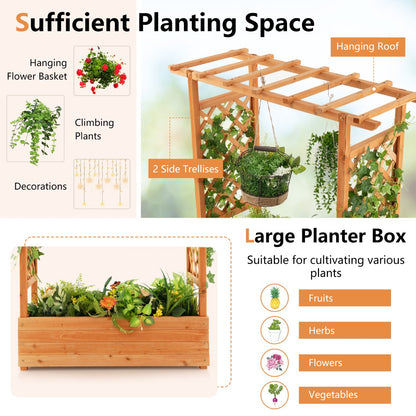 Raised Garden Bed with Top & Side Trellis for Garden