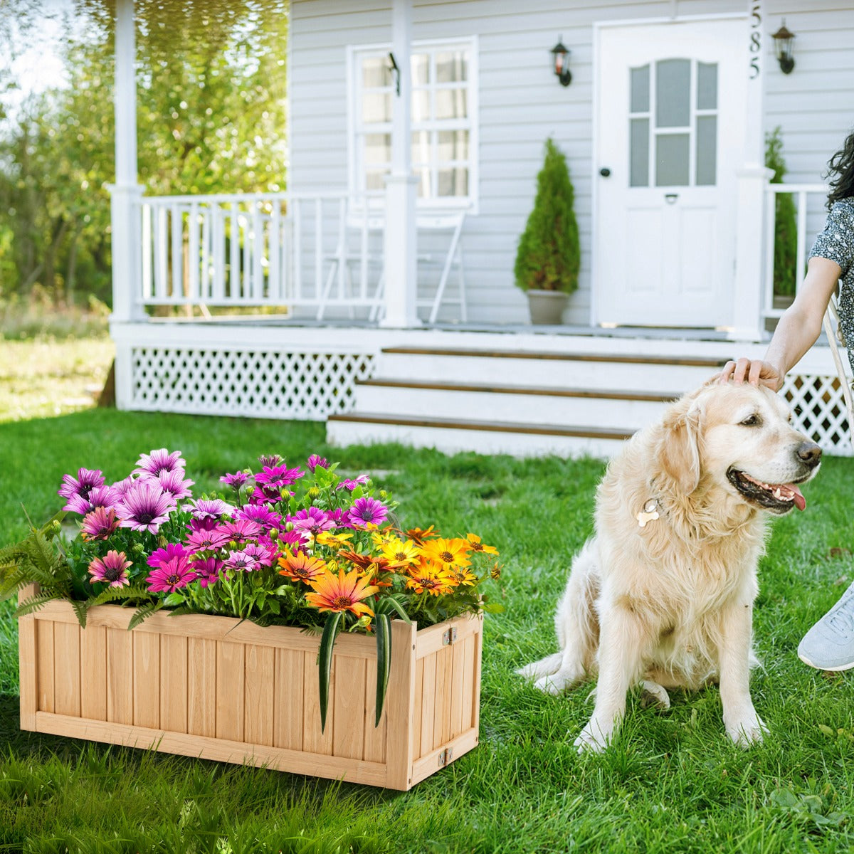 Garden divider planter helps separate planting areas and organize different growing methods