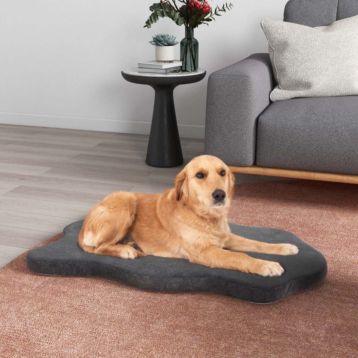 Orthopedic Dog Bed with Memory Foam Support for Pet-Grey