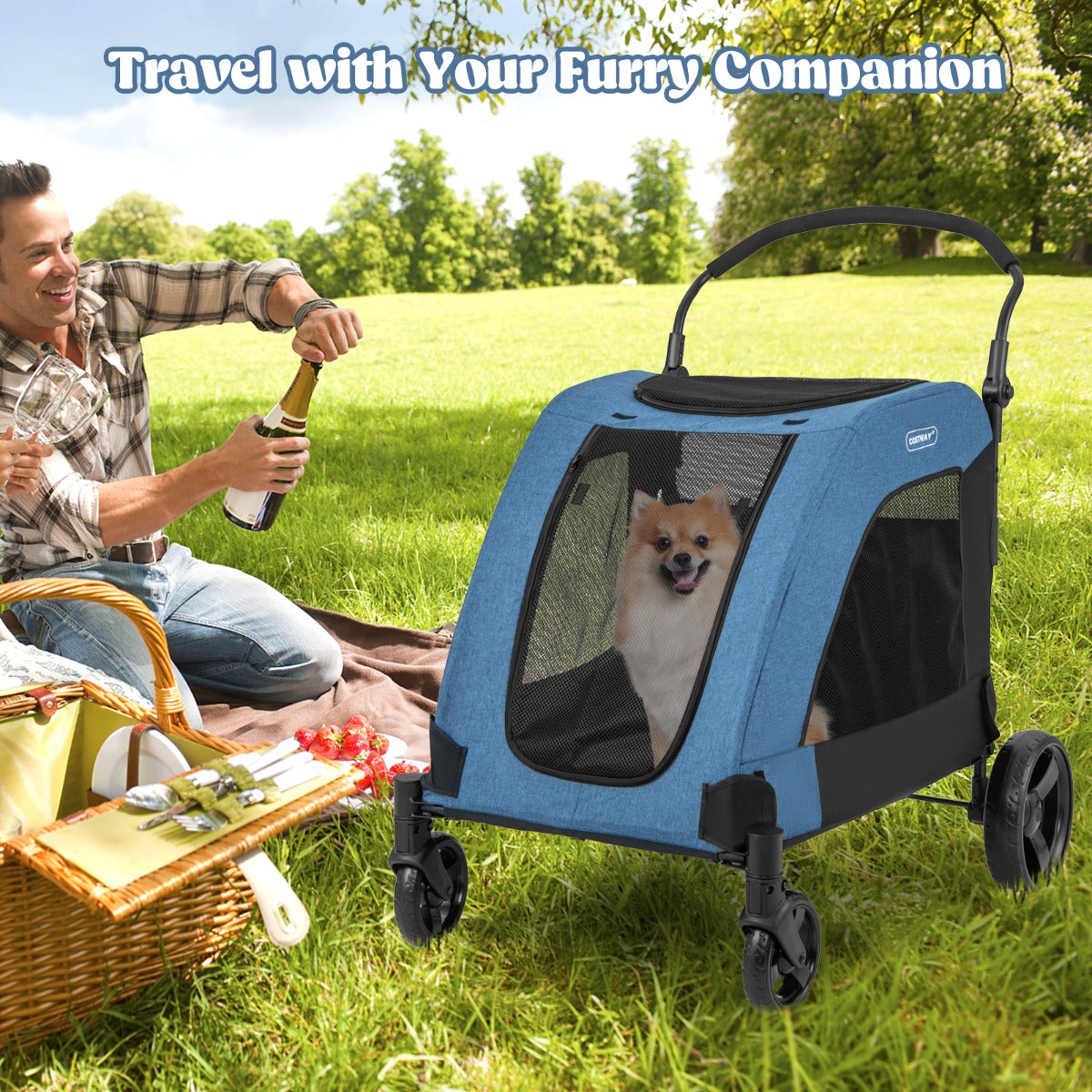 Blue and grey dog stroller with removable pad for a clean and comfortable pet interior