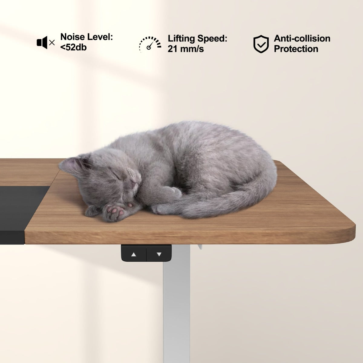 Large Electric Standing Desk with Button Controller for Office-Natural