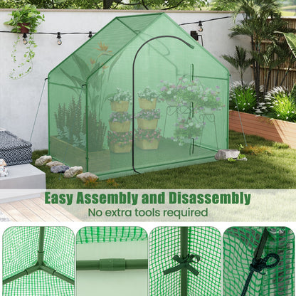 Mini Walk-in Greenhouse with PE Cover