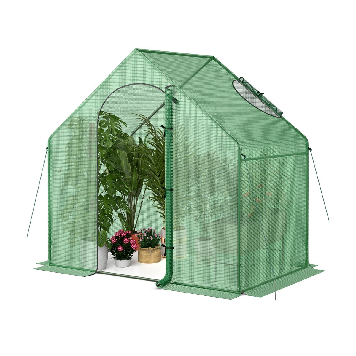 Mini Walk-in Greenhouse with PE Cover