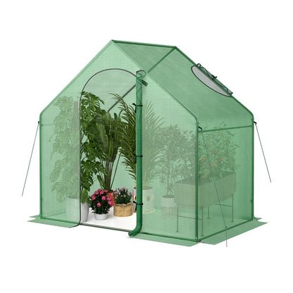 Mini Walk-in Greenhouse with PE Cover