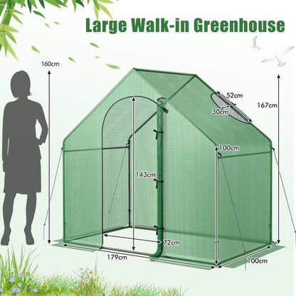 Mini Walk-in Greenhouse with PE Cover