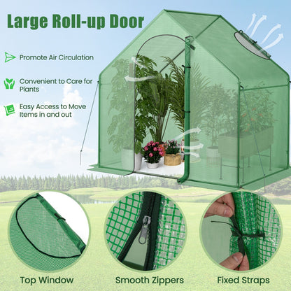 Mini Walk-in Greenhouse with PE Cover