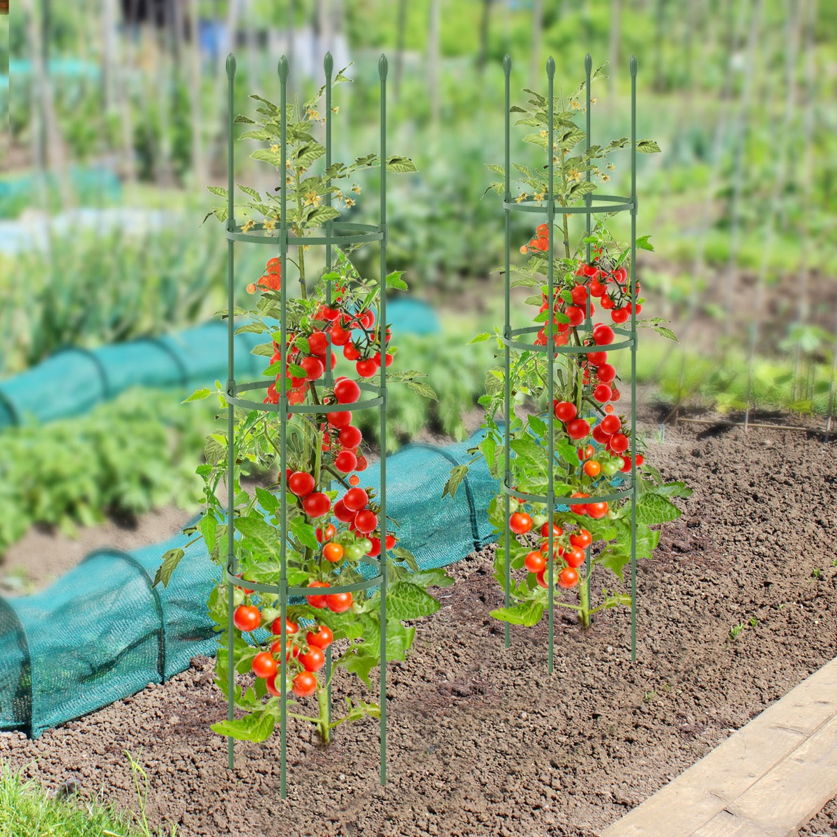 2-in-1 Plant Cage and Supports for Climbing Vines Flowers Potted Plants Vegetables Fruits