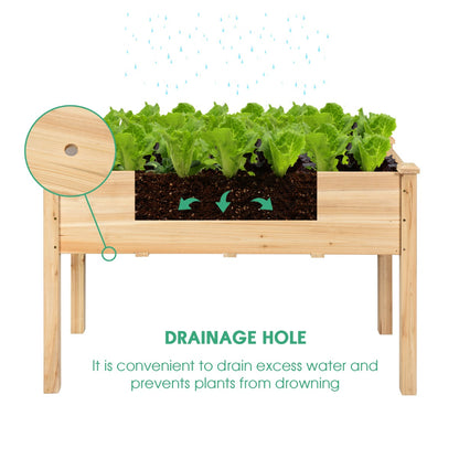 Elevated Wooden Raised Garden Bed with Mini Greenhouse-White