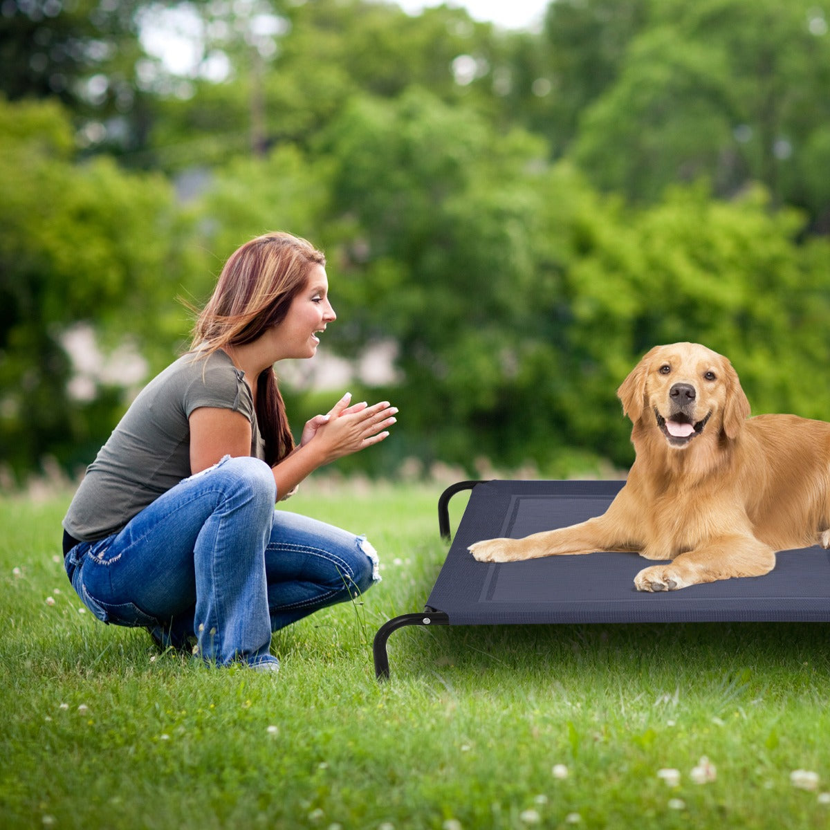 Elevated Pet Bed for Large Dogs Cot for Indoor &amp; Outdoor-XL