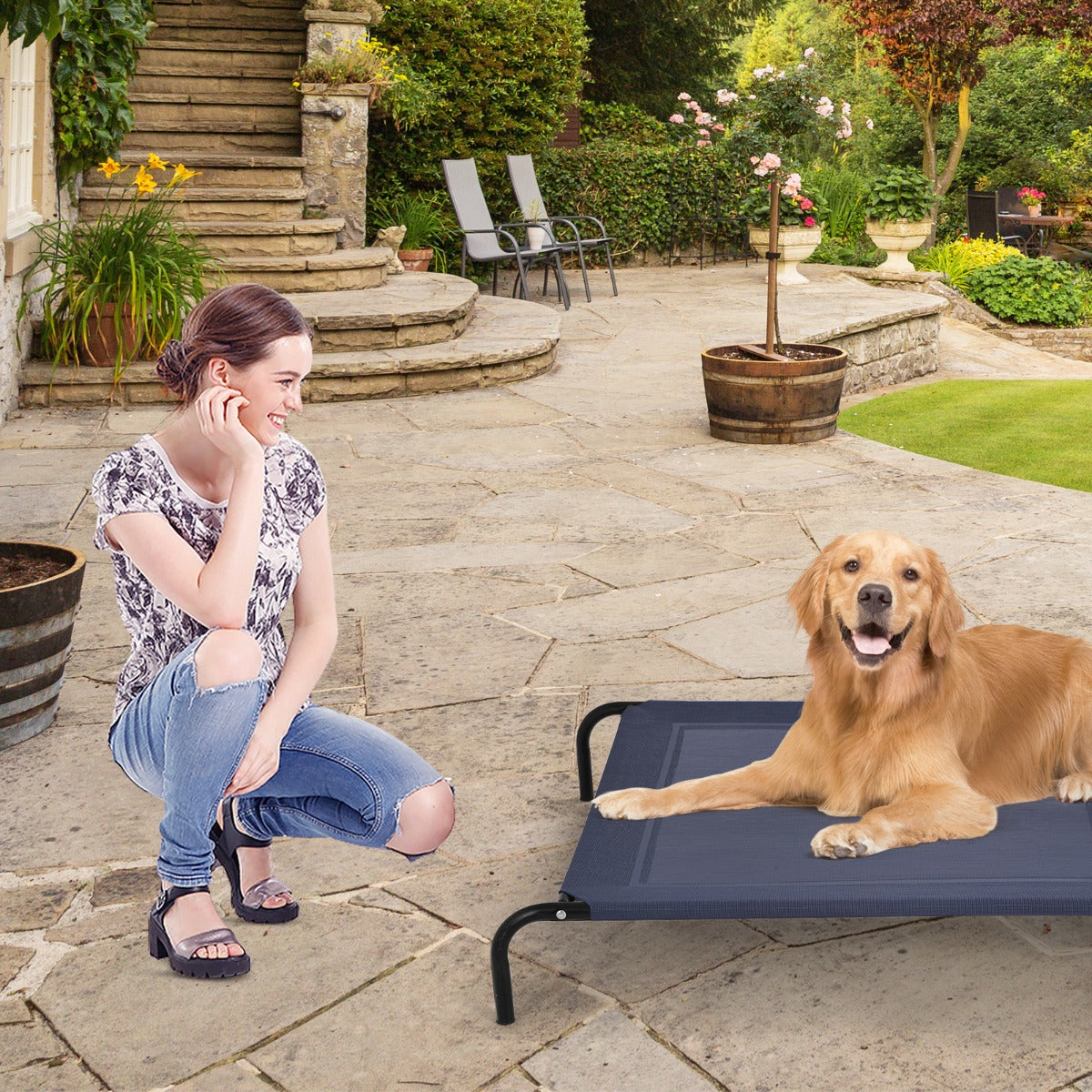 Elevated Pet Bed for Large Dogs Cot for Indoor &amp; Outdoor-XL