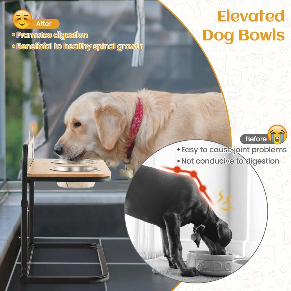 Metal Raised Dog Bowl Stand with 2 Stainless Steel Food Water Bowls for Medium/Large Dogs