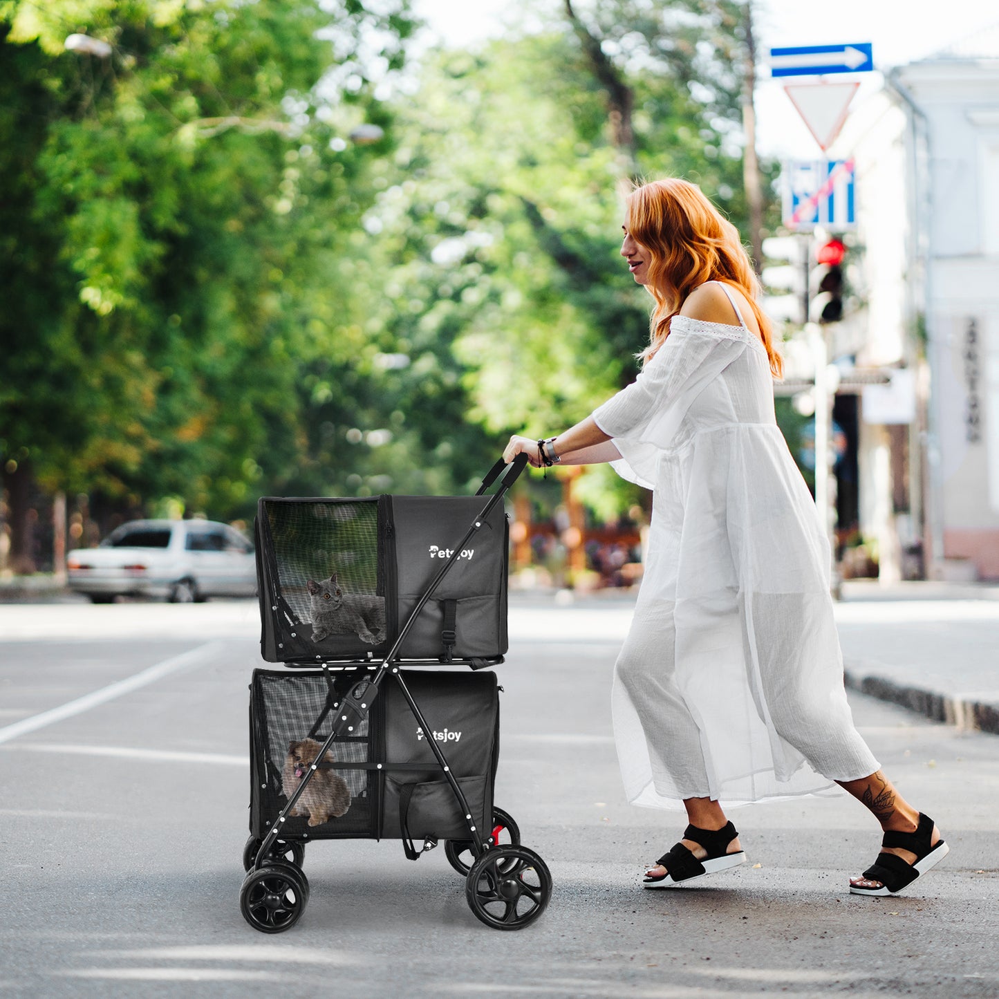 4-in-1 Double Pet Stroller with Detachable Carrier for Cats Travel-Black