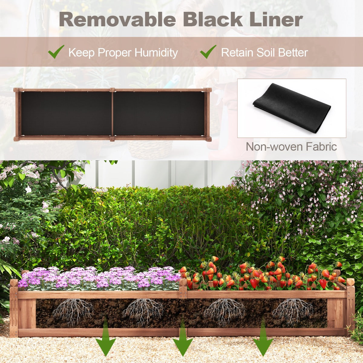 Dividable garden planter with removable divider supports different plants in separate growing areas