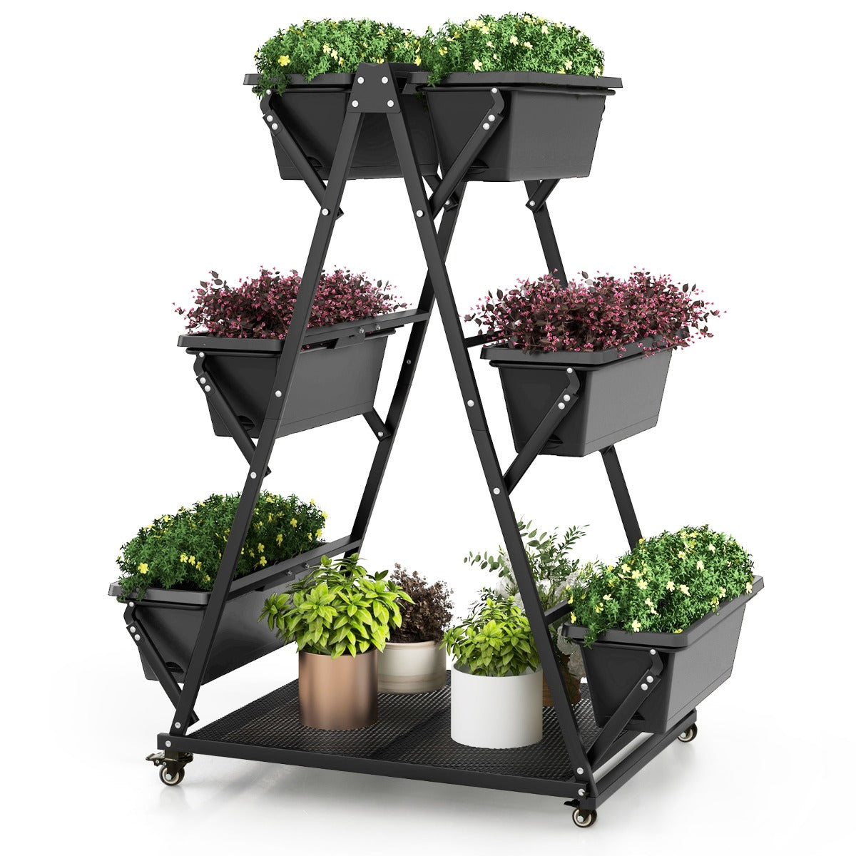 Vertical tiered garden bed allows each plant layer to receive plentiful sunlight for healthy growth