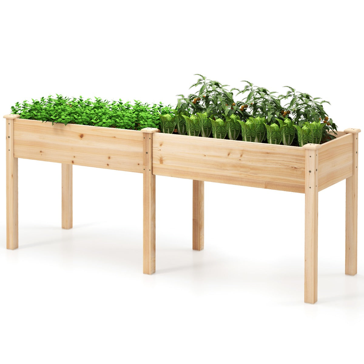 Raised Garden Bed with Legs Elevated Planter Box with Divider-Natural