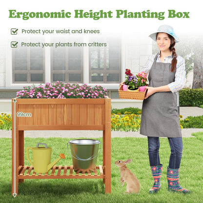100 x 50 x 99 cm Raised Garden Bed with Storage Shelf for Backyard Garden-Brown