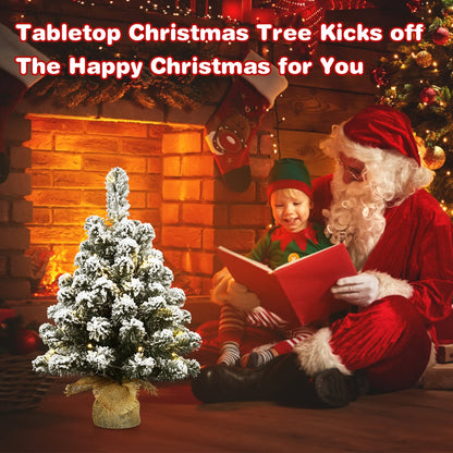 Set of 2 67cm Pre-Lit Snow Flocked Tabletop Christmas Tree