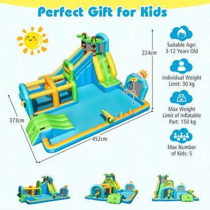 Tropical Theme Dual Slide Aqua Park with Splash Pool Blower Excluded