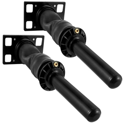 2PCS Cab Shock Absorbers for International Prostar 2008+, 20.7x11.9x59.5 cm