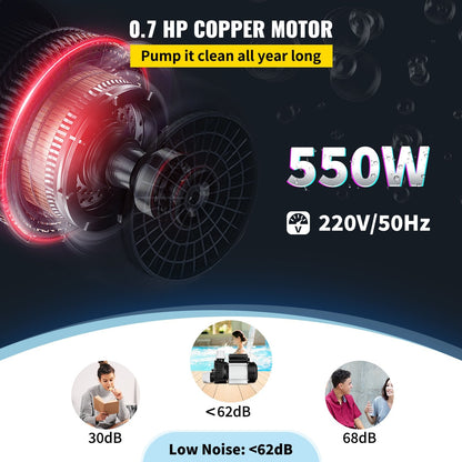 550W 0.7 HP Spa Pump for Hot Tubs, 220V, Quiet & Efficient Circulation