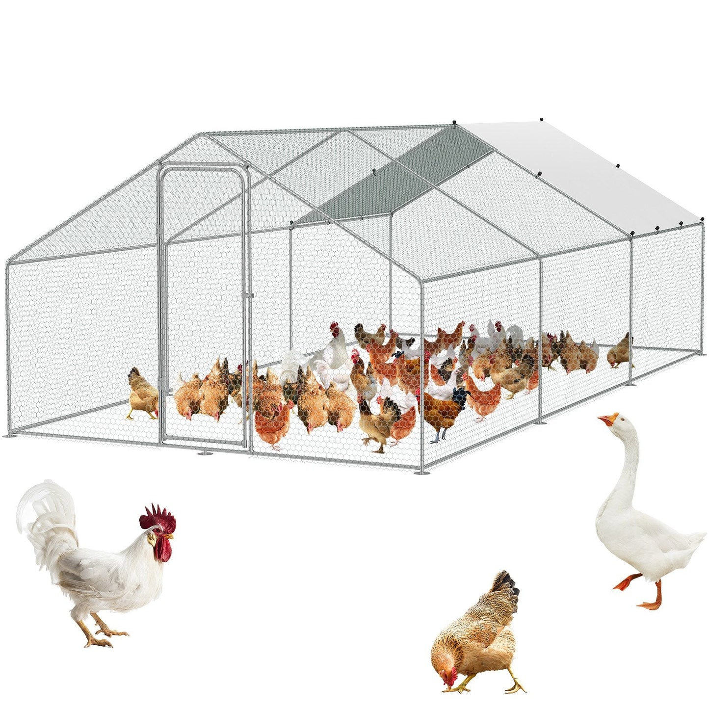 Large Walk-In Metal Chicken Coop with Cover and Spire Roof, 3x5.88x1.99 m
