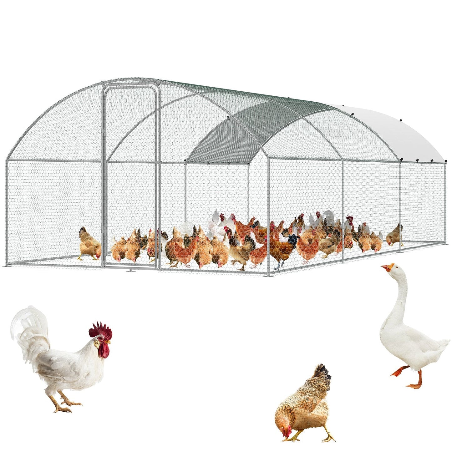 Large Walk-in Metal Chicken Coop with Run and Dome Roof, 3x5.88x1.99 m