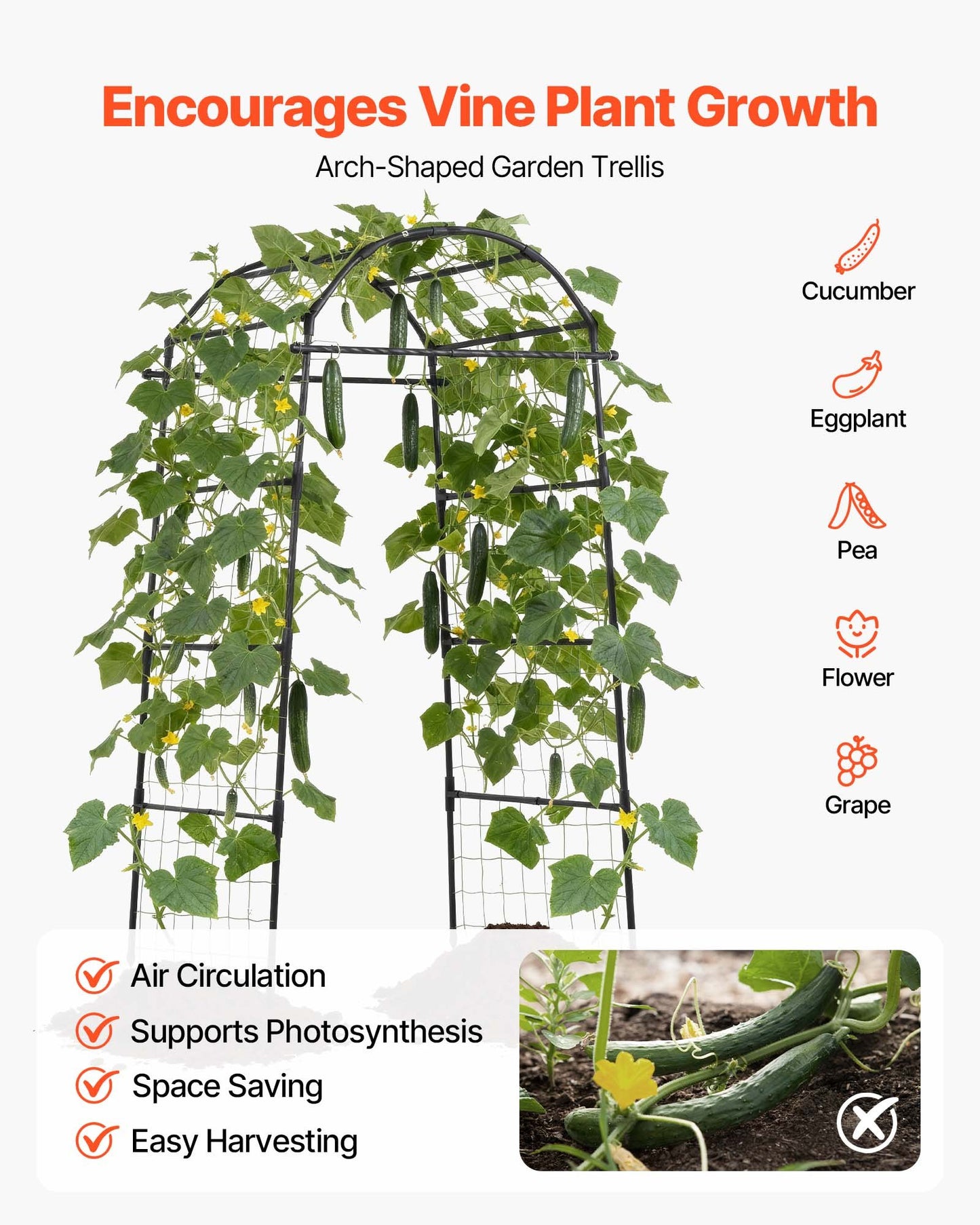 Cucumber Trellis, U-Shape Garden Trellises for Raised Bed, Metal Arch Plant Support for Vine, Climbing Plants Outdoor, Peas, Beans, Zucchini, Tomato, Squash, Flower (813 x 800 x 2050 mm)