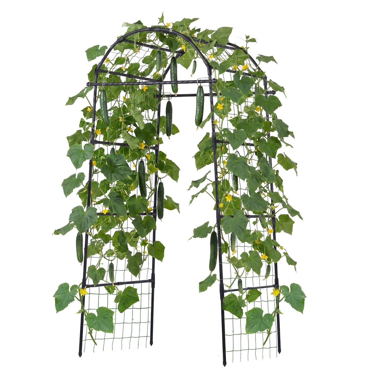 Cucumber Trellis, U-Shape Garden Trellises for Raised Bed, Metal Arch Plant Support for Vine, Climbing Plants Outdoor, Peas, Beans, Zucchini, Tomato, Squash, Flower (813 x 800 x 2050 mm)