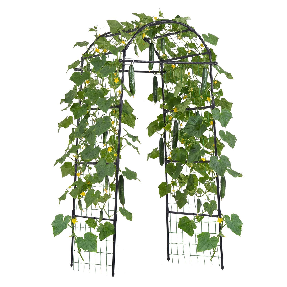 Cucumber Trellis, U-Shape Garden Trellises for Raised Bed, Metal Arch Plant Support for Vine, Climbing Plants Outdoor, Peas, Beans, Zucchini, Tomato, Squash, Flower (813 x 800 x 2050 mm)