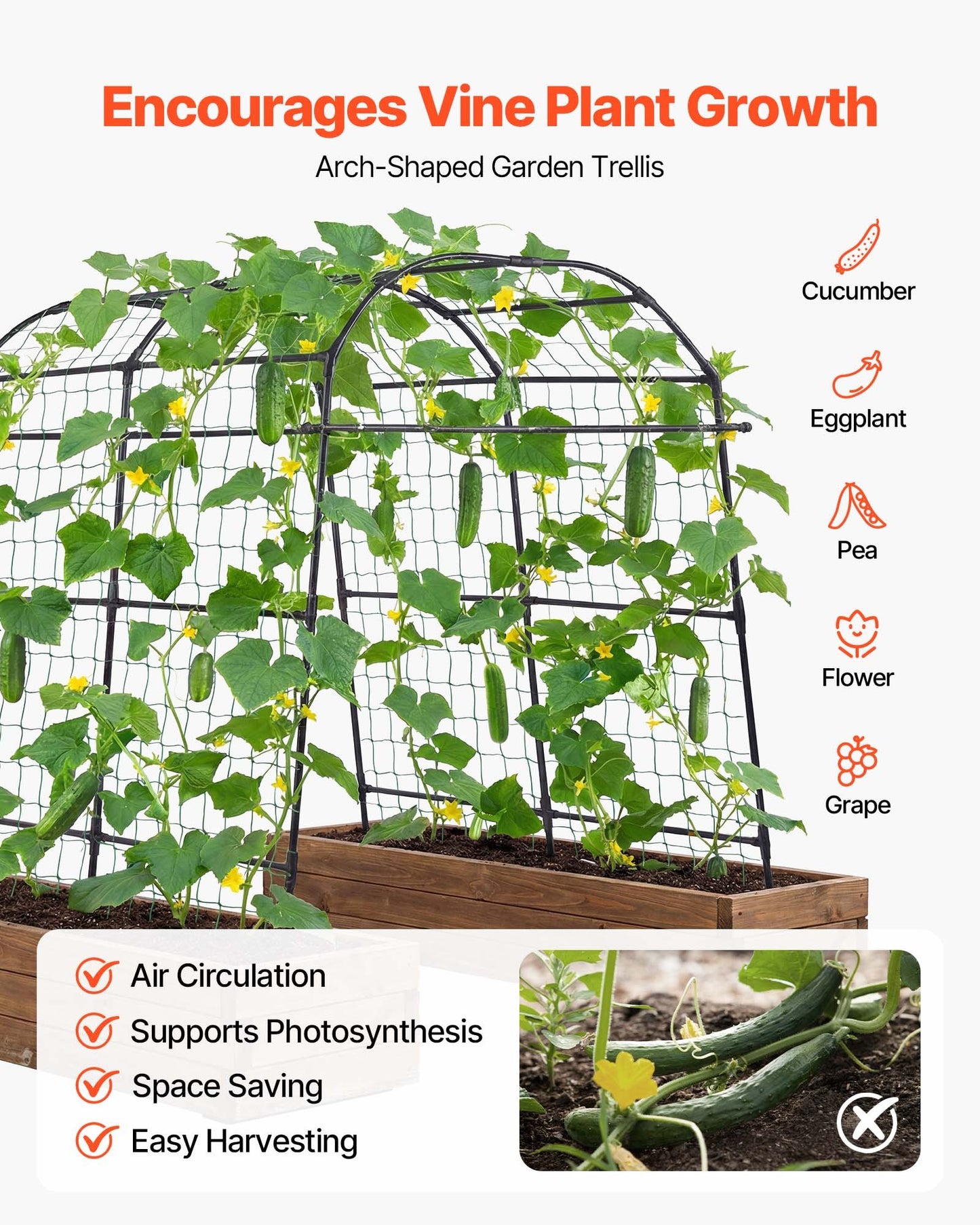 Cucumber Trellis, U-Shape Garden Trellises for Raised Bed, Metal Arch Plant Support for Vine, Climbing Plants Outdoor, Peas, Beans, Zucchini, Tomato, Squash, Flower (1800 x 1120 x 2108 mm)