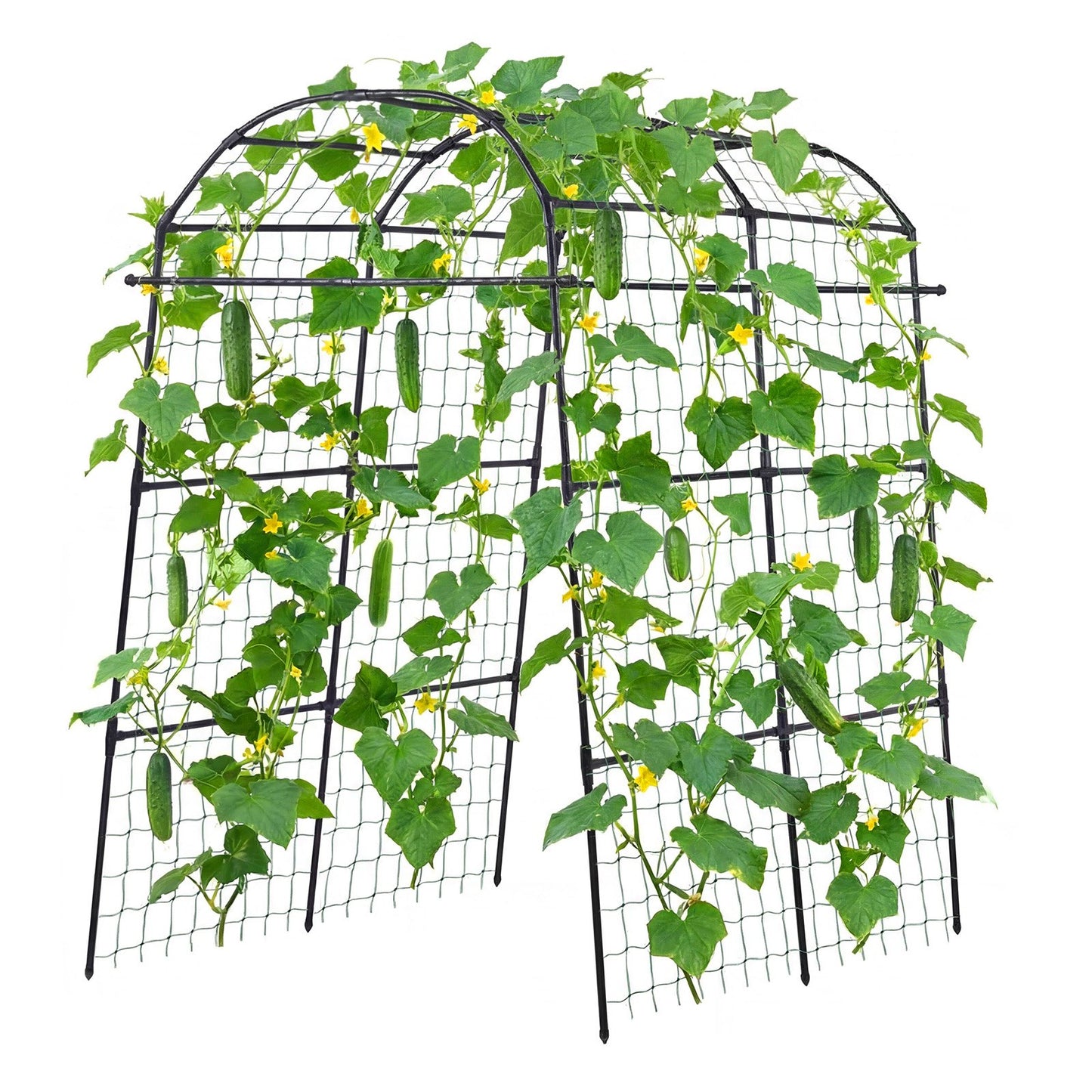 Cucumber Trellis, U-Shape Garden Trellises for Raised Bed, Metal Arch Plant Support for Vine, Climbing Plants Outdoor, Peas, Beans, Zucchini, Tomato, Squash, Flower (1800 x 1120 x 2108 mm)