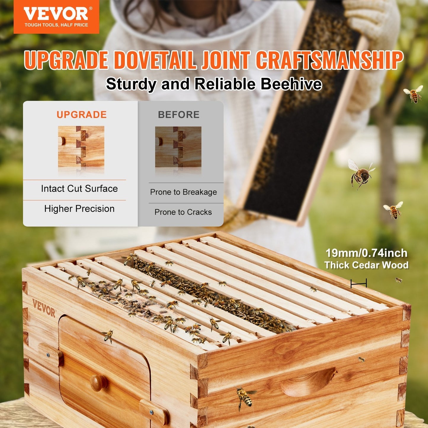 Cedar Wood Langstroth Beehive Kit with 10 Frames and Acrylic Windows