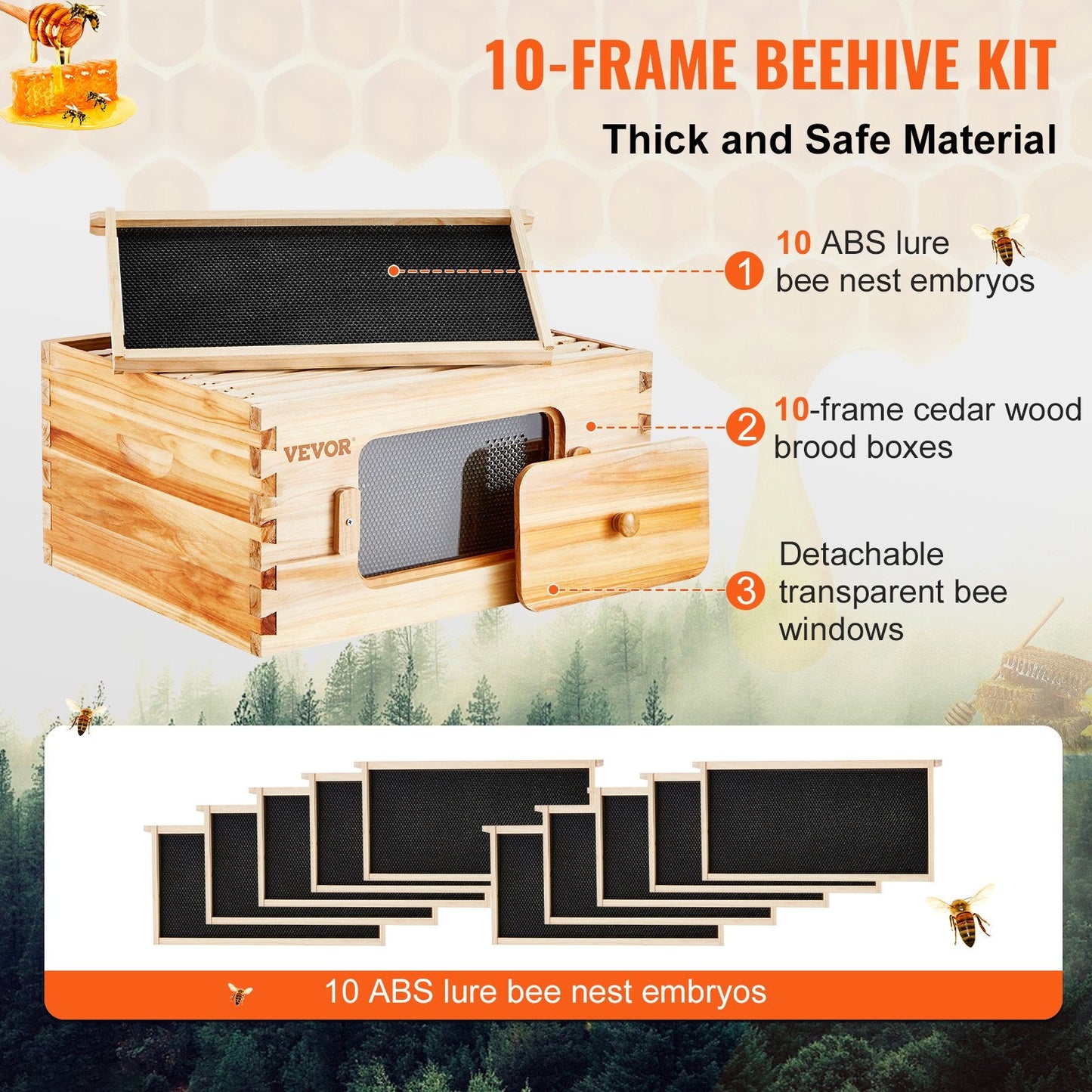 Cedar Wood Langstroth Beehive Kit with 10 Frames and Acrylic Windows