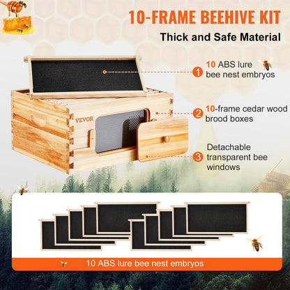 Cedar Wood Langstroth Beehive Kit with 10 Frames and Acrylic Windows