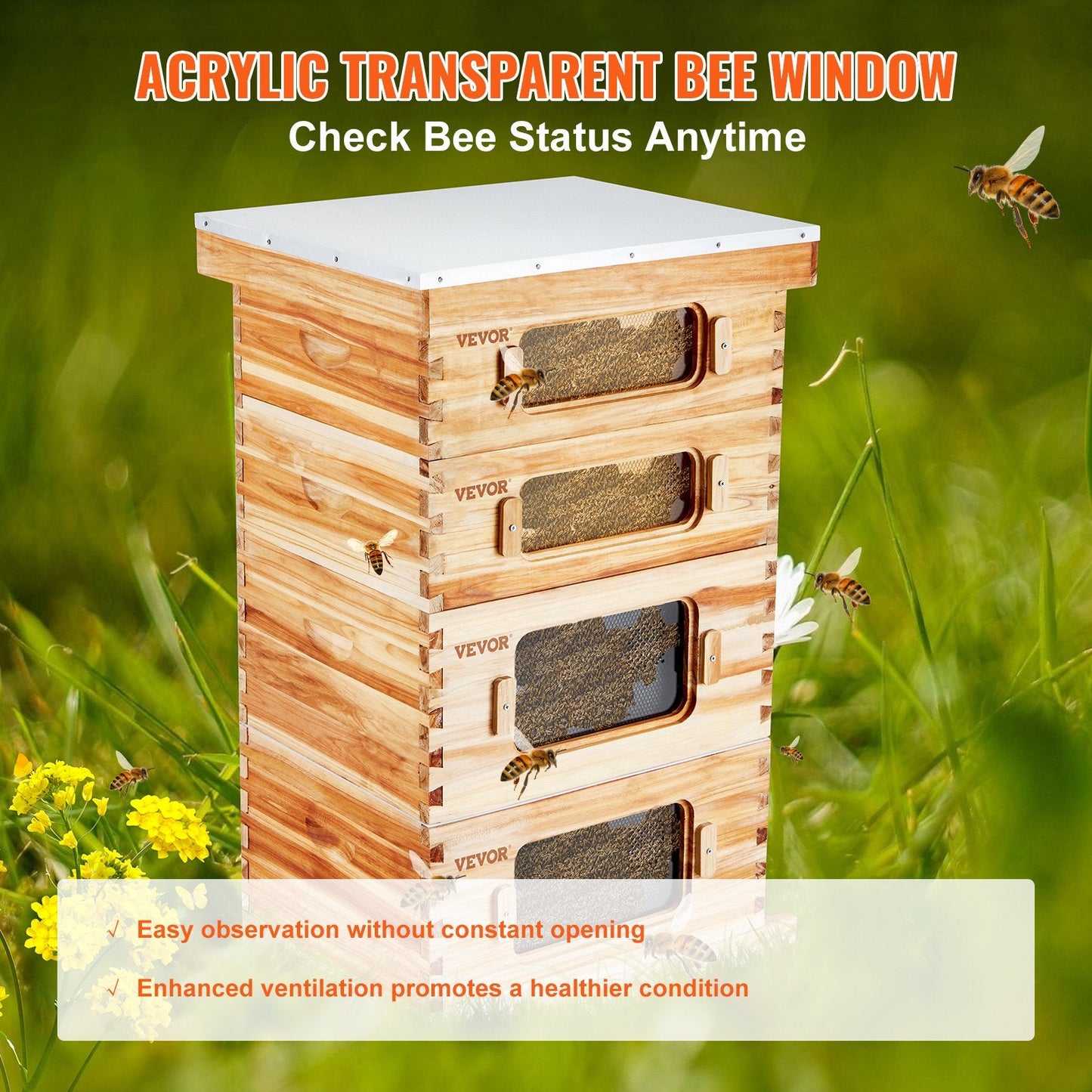 Cedar Wood Bee Hive Kit with Transparent Windows, 40 Frames, 30 kg Capacity