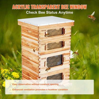 Cedar Wood Bee Hive Kit with Transparent Windows, 40 Frames, 30 kg Capacity