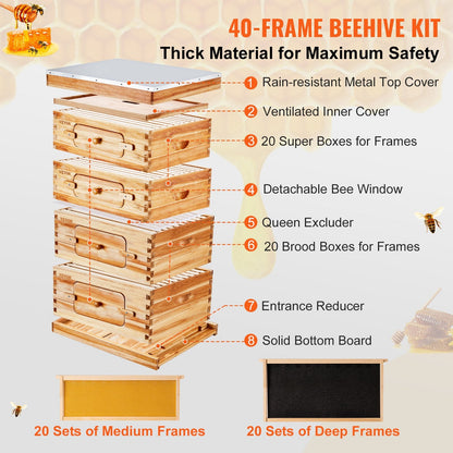 Cedar Wood Bee Hive Kit with Transparent Windows, 40 Frames, 30 kg Capacity