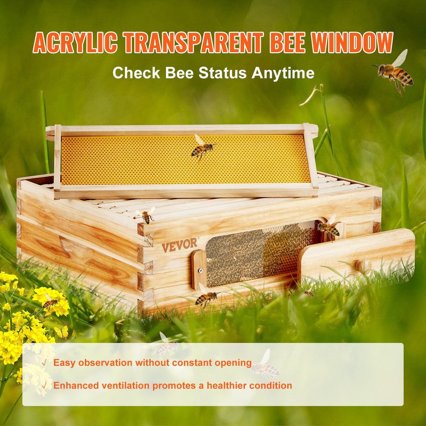 Natural Cedar Langstroth Beehive Kit with 10 Frames & Acrylic Windows