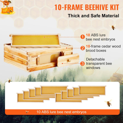 Natural Cedar Langstroth Beehive Kit with 10 Frames & Acrylic Windows