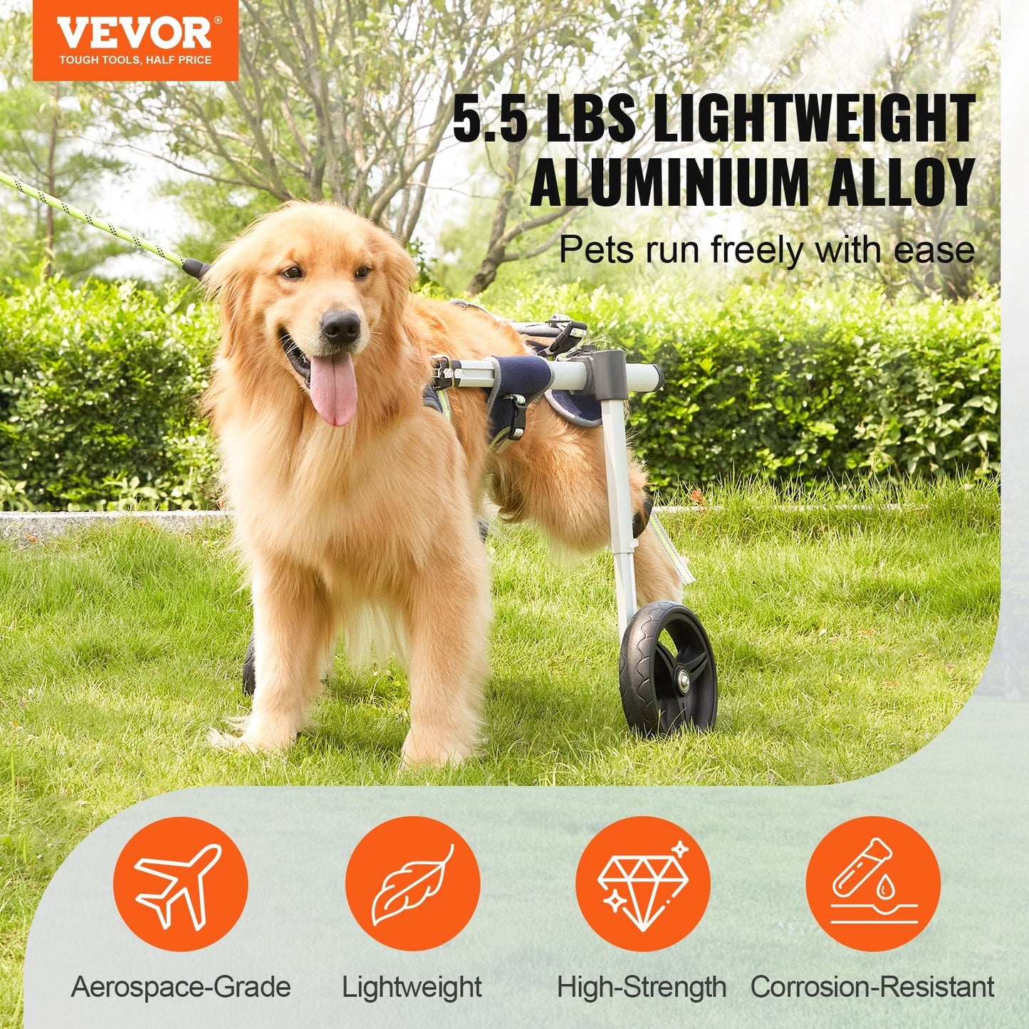 Adjustable Dog Wheelchair for Hind Legs - Lightweight & Durable (M)