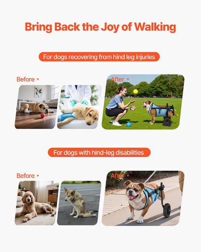 Dog Wheelchair for Back Legs, Adjustable 2 Wheels Pet Wheelchair, Lightweight  Dog Cart with Shock-Absorbing Wheels, Mobility Support Wheel Chair for Disabled Injured Dogs up to 15kg, Medium