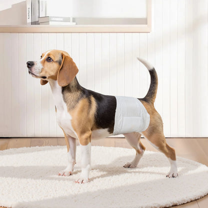 Disposable Male Dog Diapers Super Absorbent Male Dog Wraps S Size 96 Count