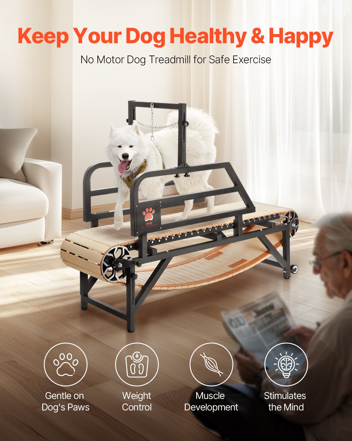 Dog Treadmill for Medium Dogs up to 220 lbs Indoor Pet Running Machine, 190 x 56 x 143 cm