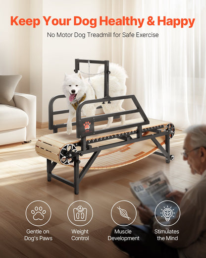 Dog Treadmill for Medium Dogs up to 220 lbs Indoor Pet Running Machine, 190 x 56 x 143 cm