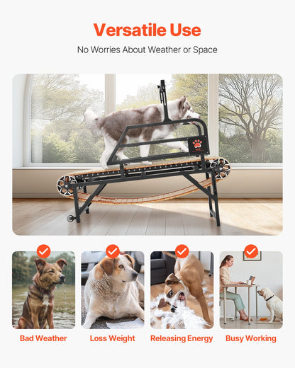 Dog Treadmill for Medium Dogs up to 220 lbs Indoor Pet Running Machine, 190 x 56 x 143 cm