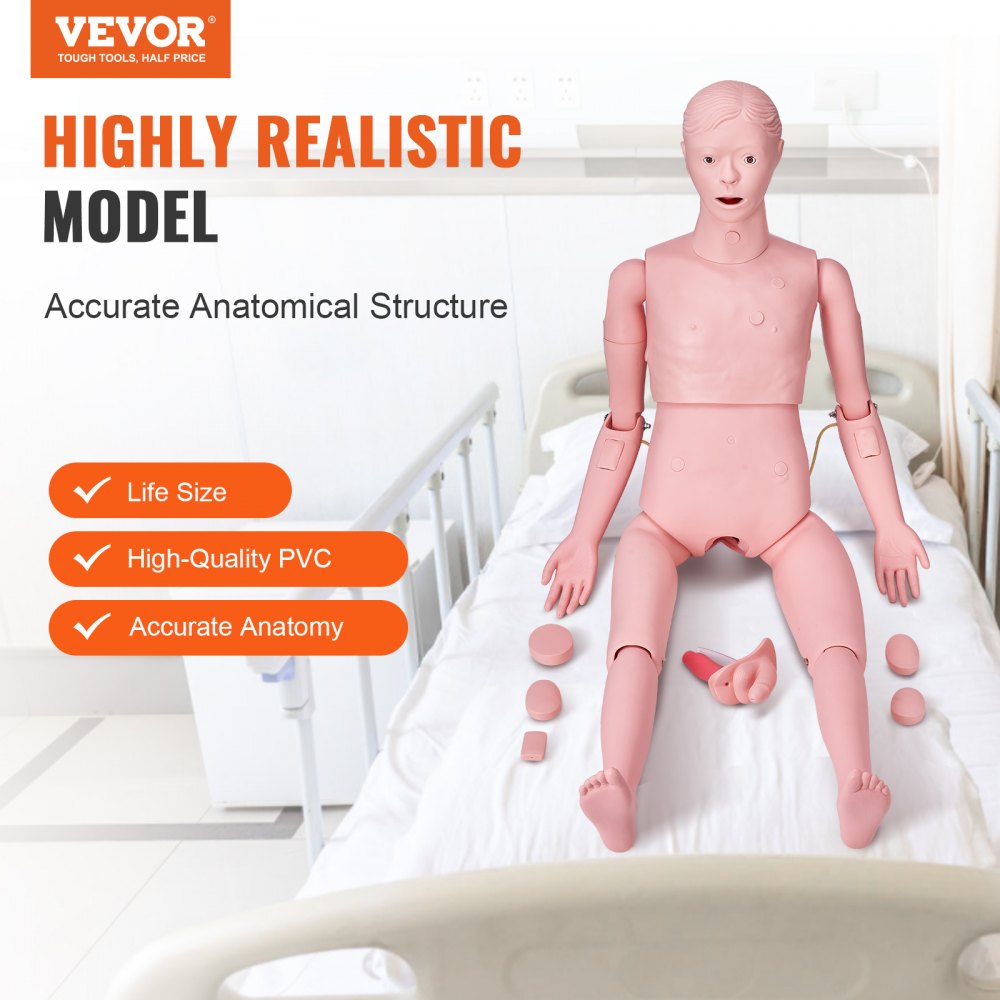 VEVOR Male Manikin Model Anatomical Nursing Training Patient Care Teach Practice