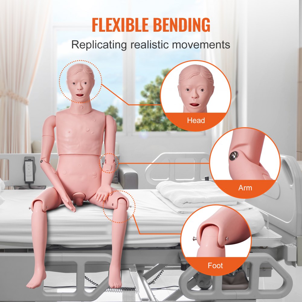 VEVOR Male Manikin Model Anatomical Nursing Training Patient Care Teach Practice
